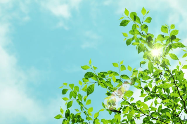 出水市のおてき歯科医院の5月のお知らせ